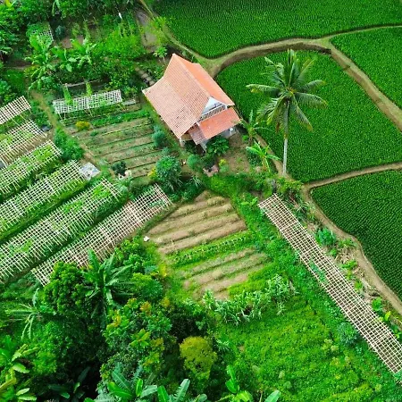 Pondok Isoke Villa Banyuwangi  Bagian luar foto