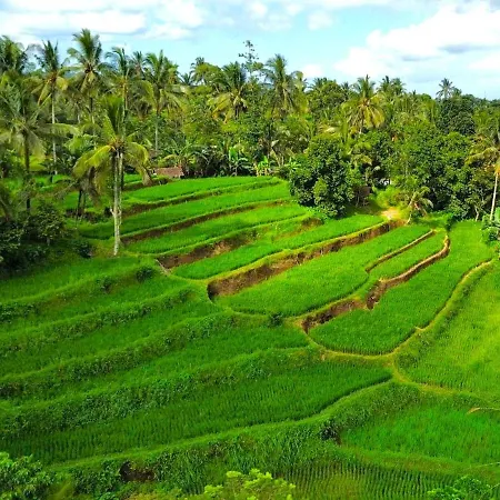 Pondok Isoke Villa Banyuwangi  Bagian luar foto
