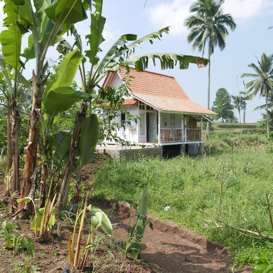 Villa Isoke