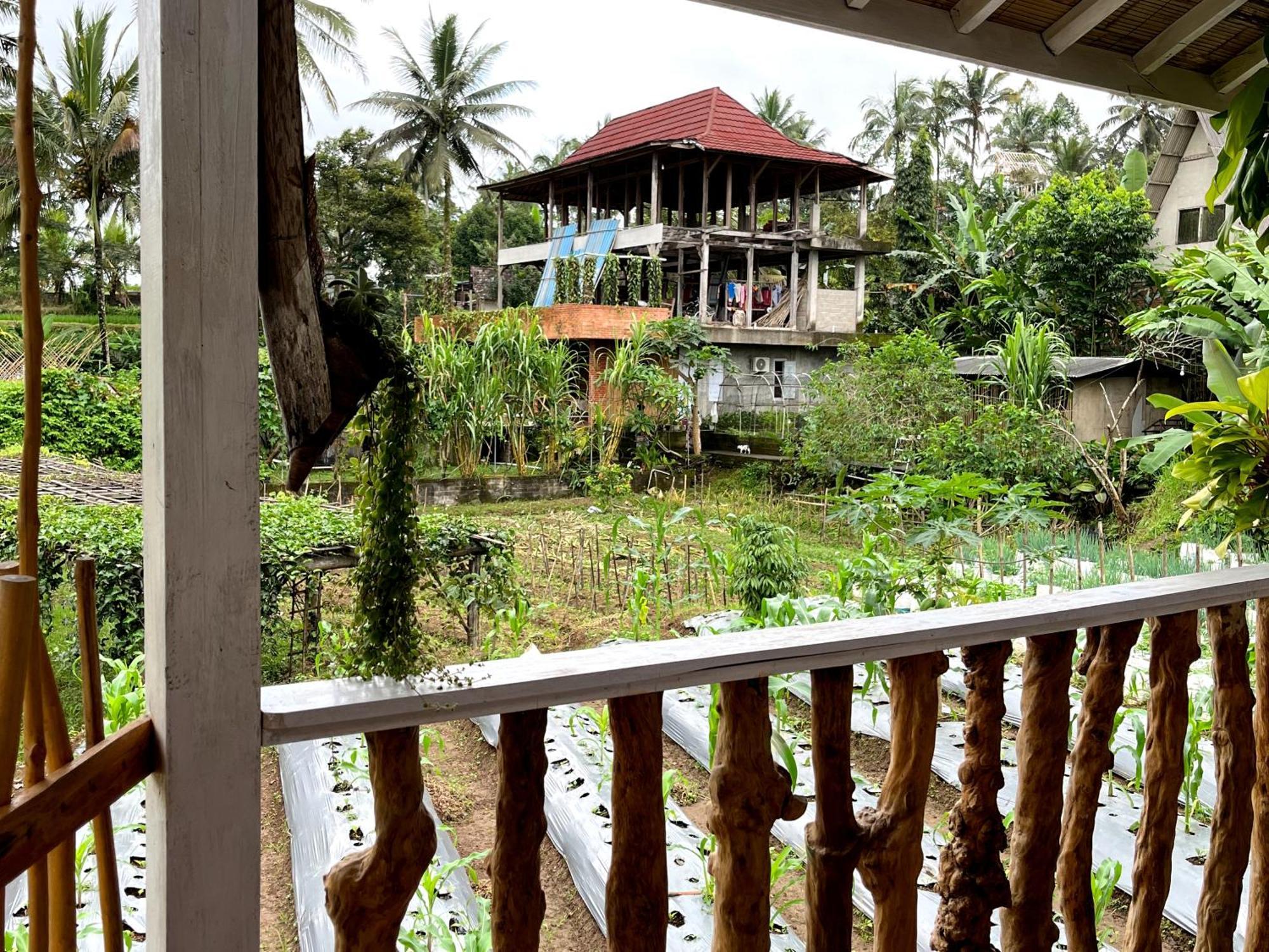 Isoke Villa