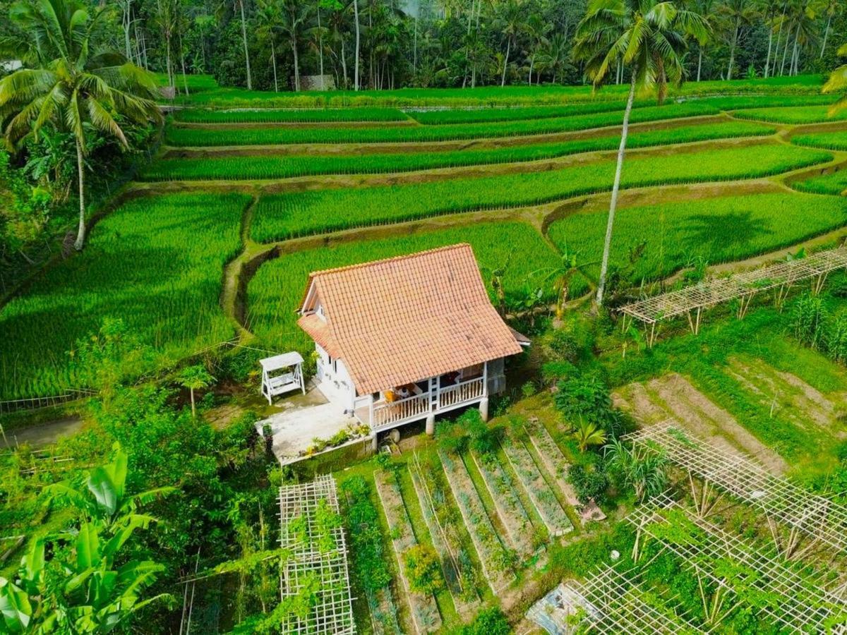 Isoke Villa