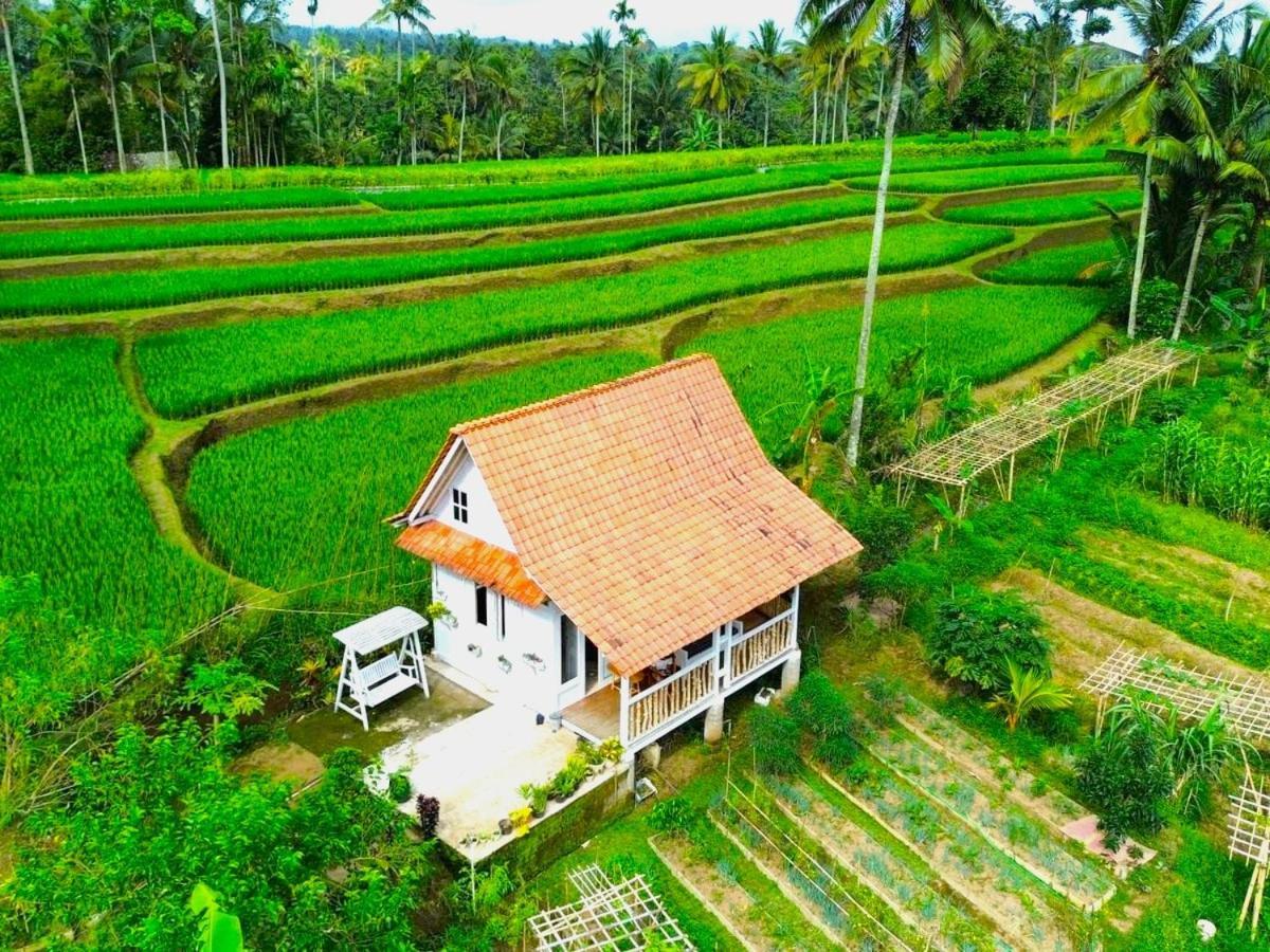 Isoke Villa