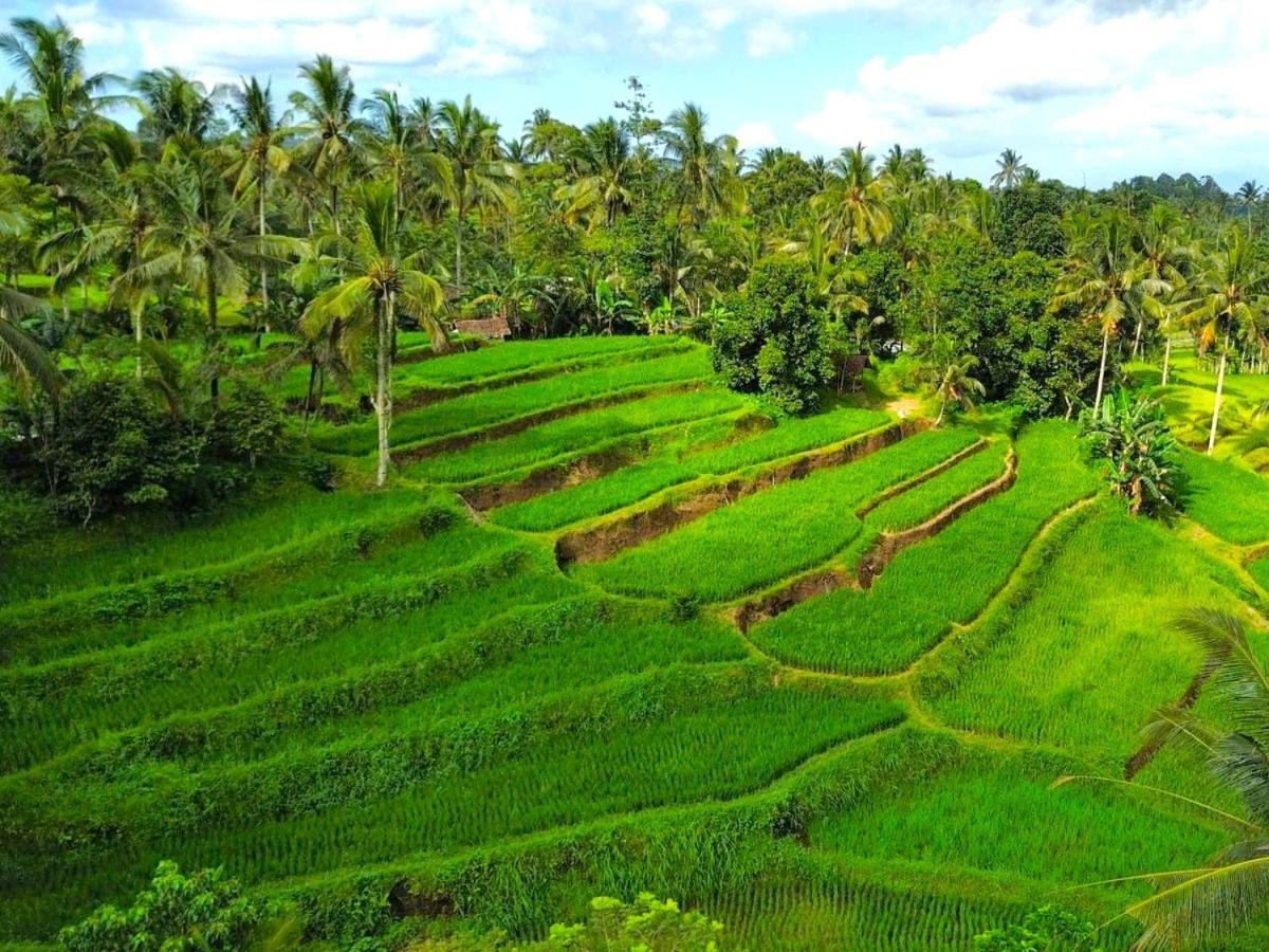 Isoke Banyuwangi (East Java)