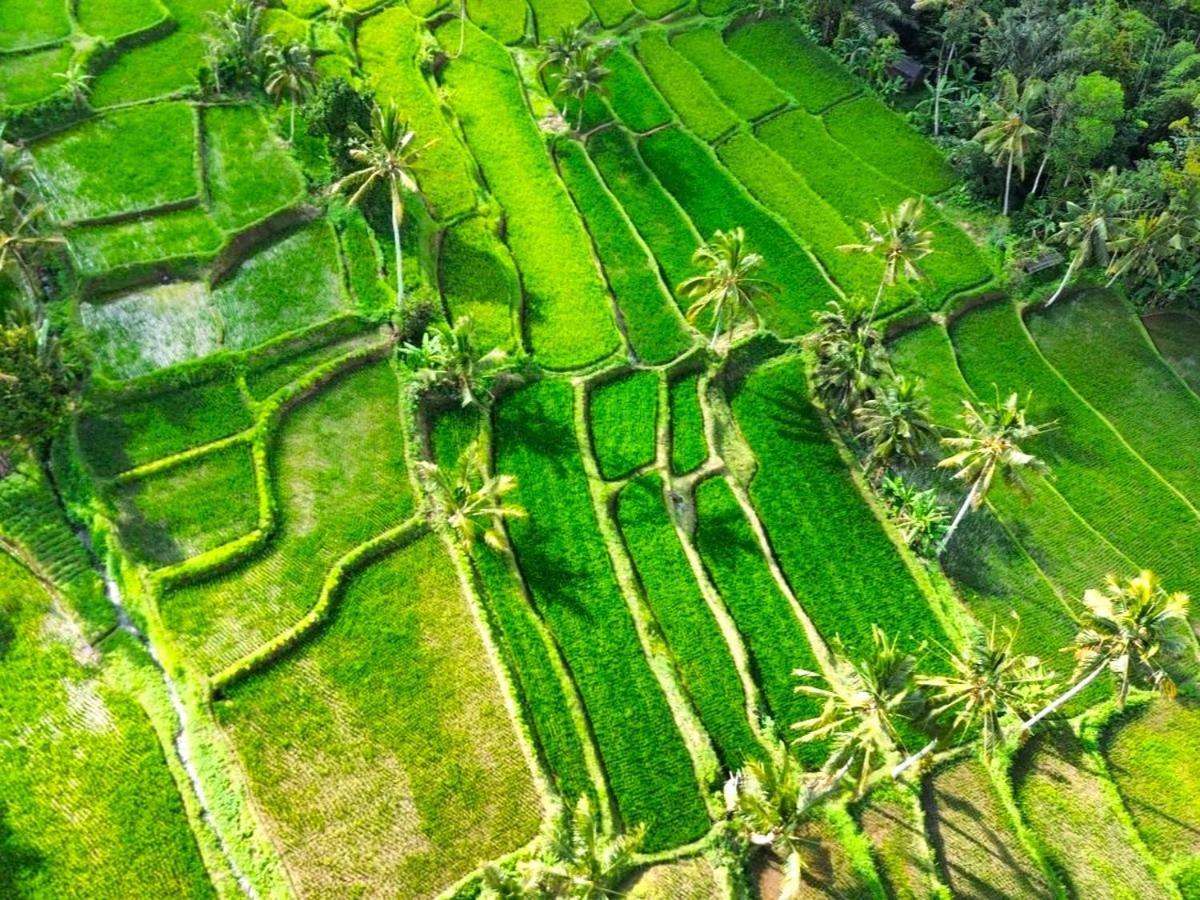 Isoke Banyuwangi (East Java)