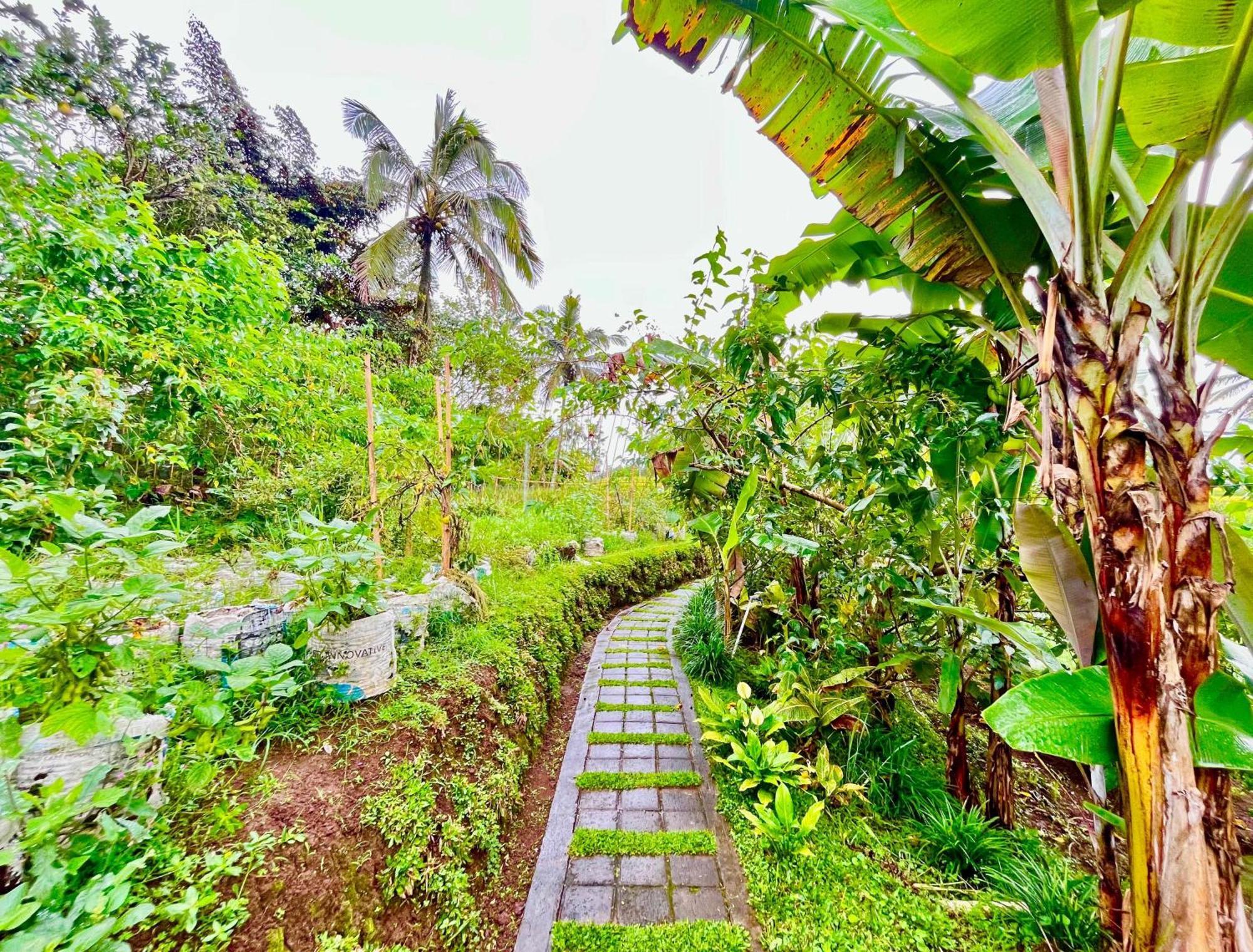 Isoke Villa