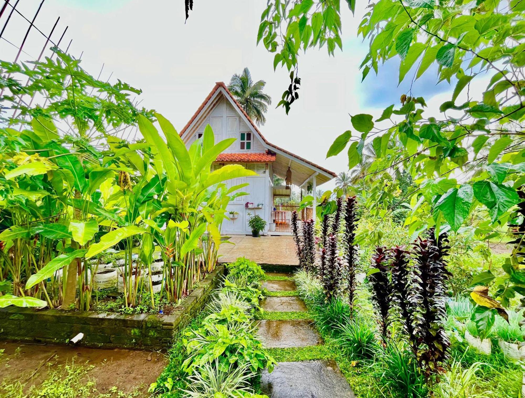 Isoke * Banyuwangi (East Java)