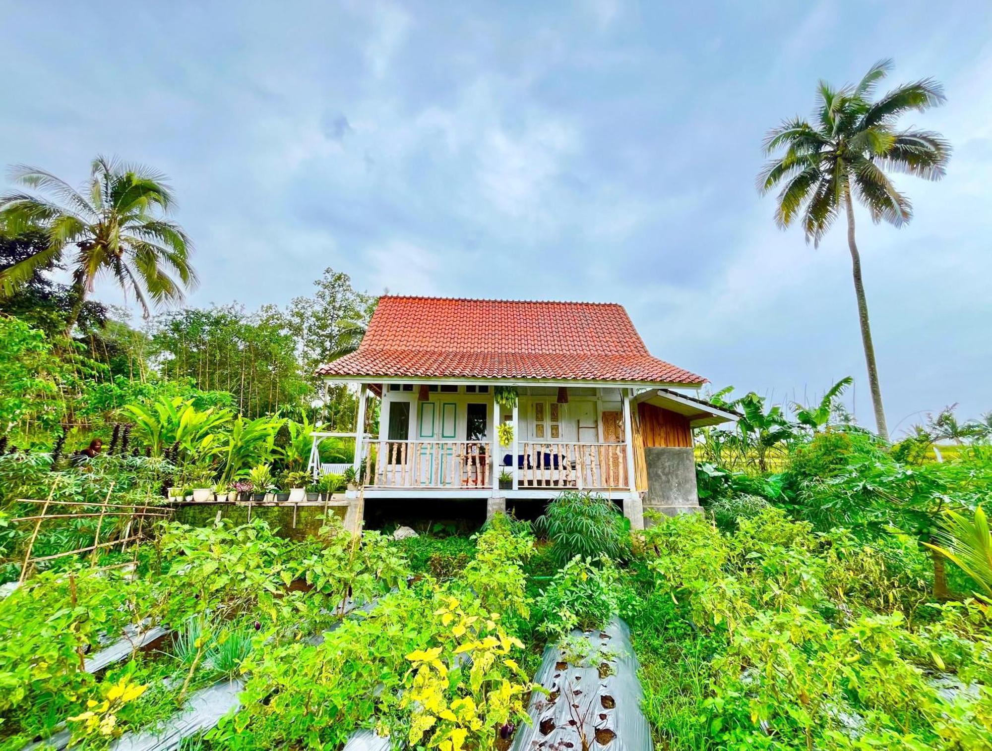 Isoke Villa