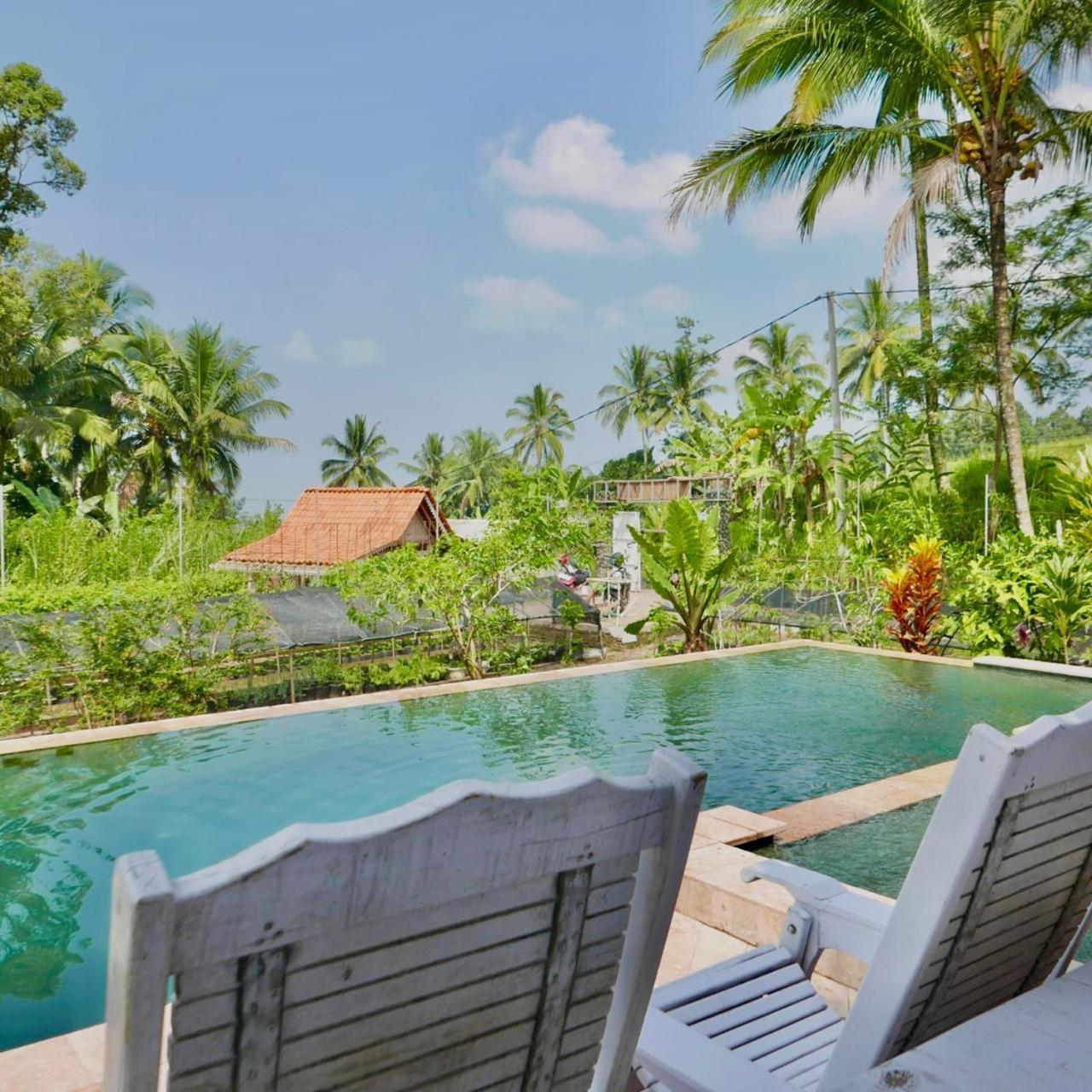 Villa Isoke *